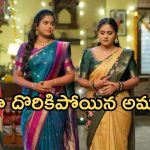 Illu Illalu Pillalu Today Episode: శ్రీవల్లికి స్ట్రాంగ్ వార్నింగ్.. వల్లి బండారం బయటపడుతుందా..? అమూల్య దొరుకుతుందా..?
