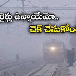 Train Cancelled: పొగమంచు ఎఫెక్ట్.. 2 నెలల పాటు పలు రైళ్లు రద్దు!