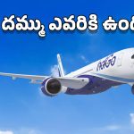 Indigo Airlines Crisis: ఇండిగోను ఏం చేయలేరు.. సర్కారుకు అంత సీను కూడా లేదు.. ఎందుకో తెలుసా?
