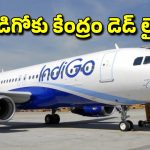 IndiGo Tickets Refund: రిఫండ్ వెంటనే చెల్లించాలి.. రేపటికల్లా విమానాలు నడకపోతే తీవ్ర చర్యలు.. కేంద్రం వార్నింగ్