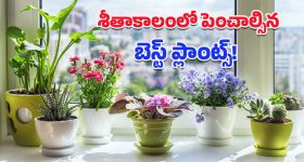 Rupee US Dollar Rate: రూపాయి రికార్డు స్థాయి పతనం.. డాలర్ తో పోలిస్తే 90కి చేరువలో మారకపు విలువ
