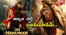 Cameraless iPhone: కెమెరా లేని స్పెషల్ ఐఫోన్‌.. ధర చాలా ఎక్కువ.. ఎందుకంటే?