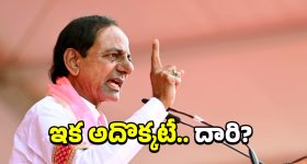 Tiger: బాబోయ్‌ పెద్దపులి.. చిక్కదు.. దొరకదు