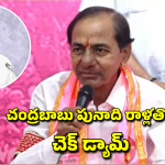 KCR On CBN: ఆంధ్రప్రదేశ్ ఏర్పాటే తెలంగాణకు శాపం.. చంద్రబాబు మోకాళ్లపై పరుగులు.. కేసీఆర్ సంచలన వ్యాఖ్యలు