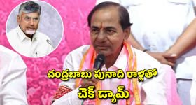 KCR On CBN: ఆంధ్రప్రదేశ్ ఏర్పాటే తెలంగాణకు శాపం.. చంద్రబాబు మోకాళ్లపై పరుగులు.. కేసీఆర్ సంచలన వ్యాఖ్యలు