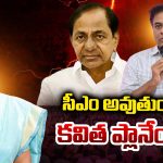 Kalvakuntla Kavitha: సీఎం అవుతుందా..  కవిత ప్లానేంటి?