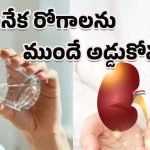Kidneys Healthy: శరీరంలో నీరు తగ్గితే ఈ ప్రమాదాలు తప్పవు.. రోజుకు ఎంత నీరు తాగాలో తెలుసా?