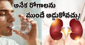 Kidneys Healthy: శరీరంలో నీరు తగ్గితే ఈ ప్రమాదాలు తప్పవు.. రోజుకు ఎంత నీరు తాగాలో తెలుసా?