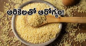 Paneer recipe: పనీర్ కొబ్బరి కర్రీ రెసిపీ.. చపాతీ, రోటీతో అదిరిపోయే కాంబినేషన్