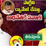 Kollikpudi Srinivasarao: పార్టీని డ్యామేజ్ చేస్తూ.. అధినేతకే సవాల్