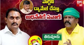 Kollikpudi Srinivasarao: పార్టీని డ్యామేజ్ చేస్తూ.. అధినేతకే సవాల్