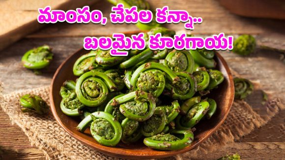 Lingad Vegetable: సూపర్ ఫుడ్ అడవి లింగుడా.. మీ డైట్‌లో తప్పక ఉండాల్సిన శక్తివంతమైన కూరగాయ!