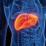 Liver Health: ఇలాంటి అలవాట్లు ఉంటే మీ కాలేయం కుళ్లిపోతుంది జాగ్రత్త