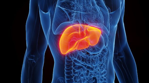Liver Health: ఇలాంటి అలవాట్లు ఉంటే మీ కాలేయం కుళ్లిపోతుంది జాగ్రత్త