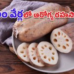 Lotus Root Benefits: వైద్యులు సైతం మెచ్చిన సహజ ఔషధం.. కమలం వేరు ప్రయోజనాలు తెలిస్తే నోరెళ్లబెట్టాల్సిందే!