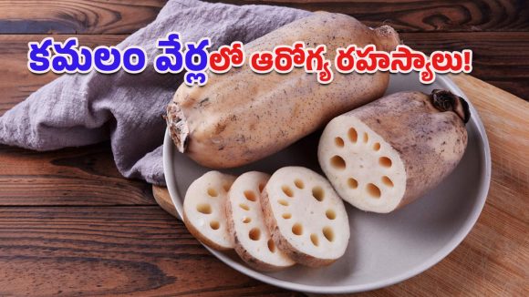 Lotus Root Benefits: వైద్యులు సైతం మెచ్చిన సహజ ఔషధం.. కమలం వేరు ప్రయోజనాలు తెలిస్తే నోరెళ్లబెట్టాల్సిందే!