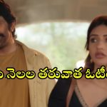 Maas Jathara OTT : మరో ఓటీటీలో రవితేజ డిజాస్టర్ మూవీ హిందీ స్ట్రీమింగ్… ఏ ఓటీటీ లో ఉందంటే?