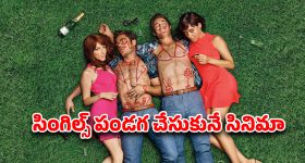 Best Prime Video Movie : ఐలాండ్ లో అన్నదమ్ముల అరాచకం... పెళ్లి పేరుతో పాడు పనులు... మామూలు యవ్వారం కాదయ్యో ఇది