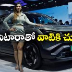 Maruti e-vitara Car: మారుతి సుజుకి ఈ-విటారా వచ్చేసింది, ఫీచర్లు చూస్తే మతిపోవాల్సిందే!