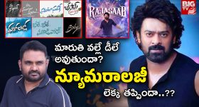 The Raja Saab Movie : మారుతికి అలాంటి అలవాటు.. అందుకే రాజా సాబ్ ఆలస్యం