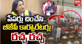 Mayor Vijayalakshmi: పేపర్లు చించేసి.. బీజేపీ కార్పొరేటర్లు రచ్చ రచ్చ