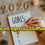 New Year’s Resolutions: కొత్త ఏడాది రిజల్యూషన్స్ సక్సెస్ అవ్వాలంటే.. ఈ చిన్న మార్పులు తప్పనిసరి!