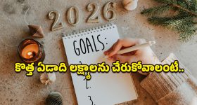 New Year's Resolutions: కొత్త ఏడాది రిజల్యూషన్స్ సక్సెస్ అవ్వాలంటే.. ఈ చిన్న మార్పులు తప్పనిసరి!