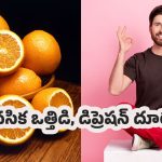 Orange for Mental Health: మానసిక ఒత్తిడి, డిప్రెషన్‌కు చెక్ పెట్టాలంటే.. రోజూ ఈ పండు తింటే చాలంటున్నారు ఎక్స్‌పర్ట్స్!