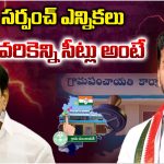 Panchayat elections: సర్పంచ్ ఎన్నికలు.. ఎవరికెన్ని సీట్లు అంటే..