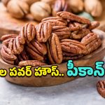 Pecan Nuts Benefits: అమ్మో.. పీకాన్ గింజల్లో ఇంత పవర్ ఉందా? ఈ ఆరోగ్య ప్రయోజనాలు తెలిస్తే అస్సలొదలరు!