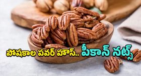 Pecan Nuts Benefits: అమ్మో.. పీకాన్ గింజల్లో ఇంత పవర్ ఉందా? ఈ ఆరోగ్య ప్రయోజనాలు తెలిస్తే అస్సలొదలరు!