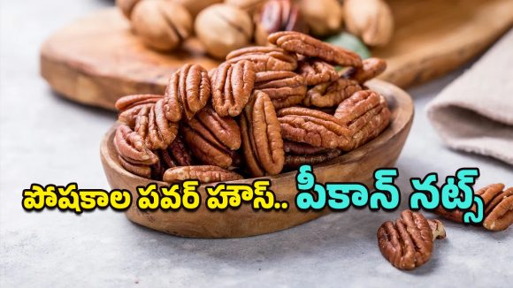 Pecan Nuts Benefits: అమ్మో.. పీకాన్ గింజల్లో ఇంత పవర్ ఉందా? ఈ ఆరోగ్య ప్రయోజనాలు తెలిస్తే అస్సలొదలరు!