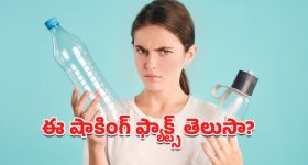 Plastic Bottles: ఇంకా ప్లాస్టిక్ బాటిళ్లలో నీళ్లు తాగుతున్నారా?.. ప్రమాదం పొంచి ఉందంటున్న నిపుణులు!
