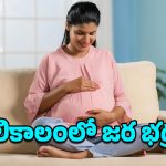 Pregnant Women Health Tips: కాబోయే అమ్మలూ.. శీతాకాలంలో తప్పకుండా ఈ జాగ్రత్తలు పాటించాల్సిందేనట!