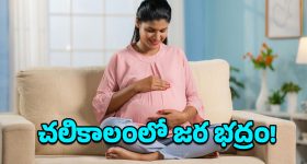 Pregnant Women Health Tips: కాబోయే అమ్మలూ.. శీతాకాలంలో తప్పకుండా ఈ జాగ్రత్తలు పాటించాల్సిందేనట!