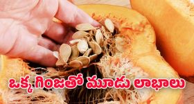 Pumpkin Seeds: ఈ గింజలను పారేస్తున్నారా? ప్రాణాలను కాపాడే పోషక నిధి ఇదే..