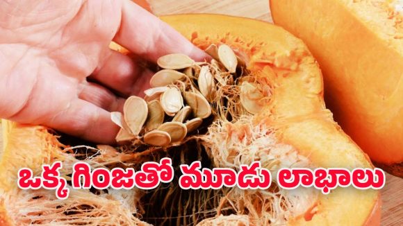 Pumpkin Seeds: ఈ గింజలను పారేస్తున్నారా? ప్రాణాలను కాపాడే పోషక నిధి ఇదే..