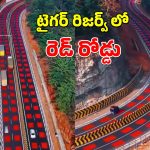 NH-45 Red Road: వన్యప్రాణుల రక్షణకు ‘రెడ్ రోడ్డు’.. దేశంలోనే తొలిసారిగా ఎంపీలో.. స్పెషాలిటీ ఏంటంటే?
