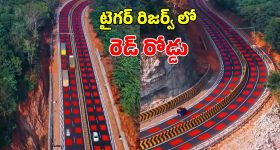 Health Tips: ఖాళీ కడుపుతో.. పొరపాటున కూడా ఇవి తినొద్దు !