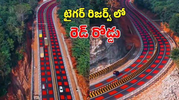 NH-45 Red Road: వన్యప్రాణుల రక్షణకు ‘రెడ్ రోడ్డు’.. దేశంలోనే తొలిసారిగా ఎంపీలో.. స్పెషాలిటీ ఏంటంటే?