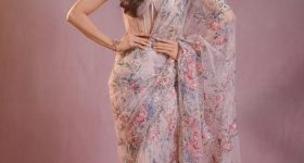 Regina cassandra : శారీలో మెరిసిపోతున్న రెజీనా.. చూపుతిప్పుకోవడం కష్టమే..