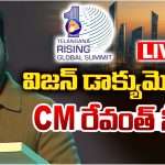CM Revanth: తెలంగాణ విజన్ డాక్యుమెంట్.. లక్ష్యాలివే!