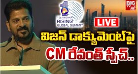 CM Revanth: తెలంగాణ విజన్ డాక్యుమెంట్.. లక్ష్యాలివే!