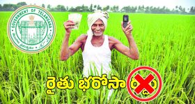 Vintage Watches: మహిళల కోసం ఎలిగెంట్ వింటేజ్ వాచ్‌లు.. మీ ఫ్యాషన్‌కు సరికొత్త హుందాతనం