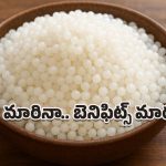 Saggubiyyam Benefits: సీజన్ మారినా బెనిఫిట్స్ మారదు.. సగ్గుబియ్యం తింటే ఆరోగ్య ప్రయోజనాలు గ్యారెంటీ!