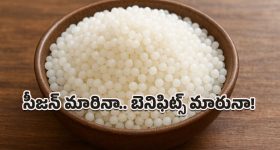 Allu Arjun : మౌగ్లి సెలబ్రిటీ షో కి హాజరైన బన్నీ, రోషన్ తో ఏమన్నాడంటే?