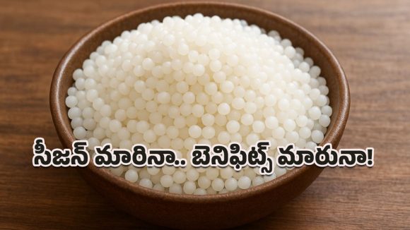 Saggubiyyam Benefits: సీజన్ మారినా బెనిఫిట్స్ మారదు.. సగ్గుబియ్యం తింటే ఆరోగ్య ప్రయోజనాలు గ్యారెంటీ!