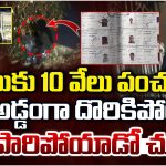BigTV Exclusive: ఓటుకు 10 వేలు పంచుతూ అడ్డంగా దొరికిపోయి.. ఎలా పారిపోయాడో చూస్తే