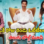 OTT Movie : ఇంట్లోంచి పారిపోయి పెళ్లి… పిల్లలు పుట్టట్లేదని… తెలుగు మూవీనే భయ్యా