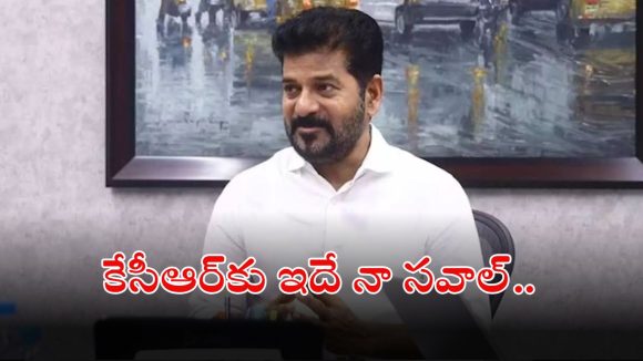 CM Revanth Reddy: పంచాయతీ ఎన్నికల్లో కాంగ్రెస్‌కు అద్భుతమైన ఫలితాలు.. ఇది కదా ప్రజా పాలన అంటే…